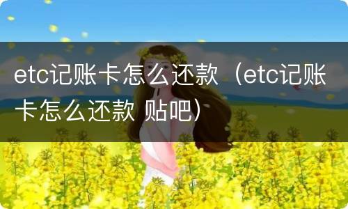 etc记账卡怎么还款（etc记账卡怎么还款 贴吧）