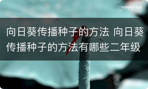 向日葵传播种子的方法 向日葵传播种子的方法有哪些二年级