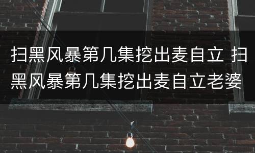 扫黑风暴第几集挖出麦自立 扫黑风暴第几集挖出麦自立老婆