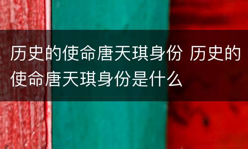 历史的使命唐天琪身份 历史的使命唐天琪身份是什么