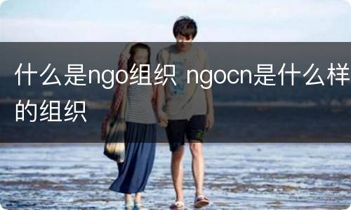 什么是ngo组织 ngocn是什么样的组织