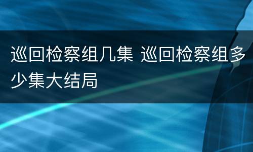 巡回检察组几集 巡回检察组多少集大结局