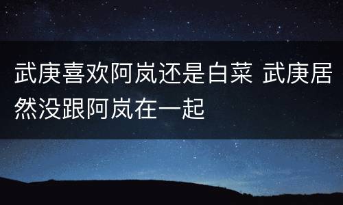 武庚喜欢阿岚还是白菜 武庚居然没跟阿岚在一起