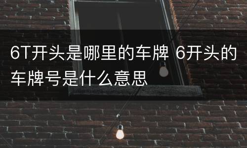 6T开头是哪里的车牌 6开头的车牌号是什么意思