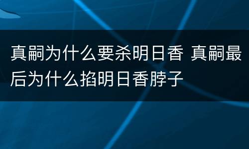 真嗣为什么要杀明日香 真嗣最后为什么掐明日香脖子