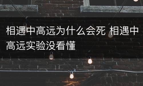 相遇中高远为什么会死 相遇中高远实验没看懂