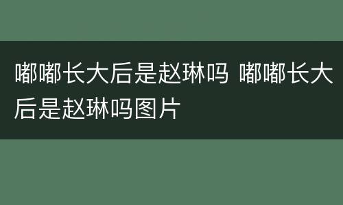 嘟嘟长大后是赵琳吗 嘟嘟长大后是赵琳吗图片