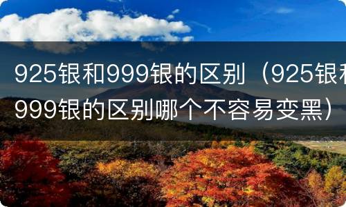 925银和999银的区别（925银和999银的区别哪个不容易变黑）