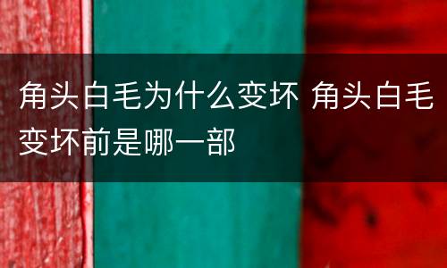 角头白毛为什么变坏 角头白毛变坏前是哪一部