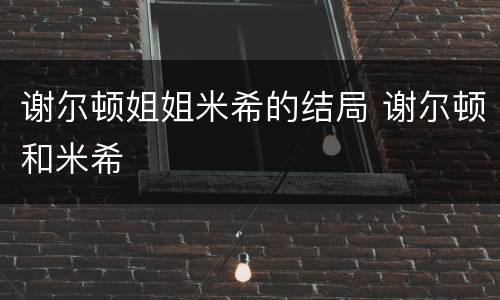 谢尔顿姐姐米希的结局 谢尔顿和米希