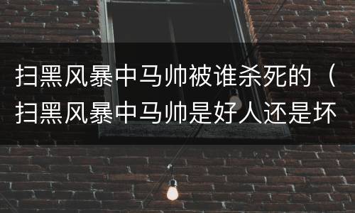 扫黑风暴中马帅被谁杀死的（扫黑风暴中马帅是好人还是坏人）