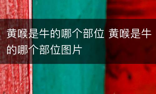 黄喉是牛的哪个部位 黄喉是牛的哪个部位图片