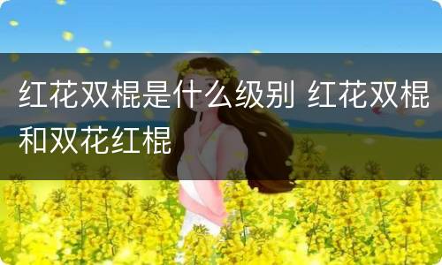 红花双棍是什么级别 红花双棍和双花红棍