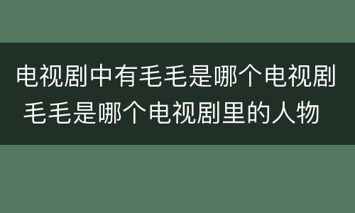 电视剧中有毛毛是哪个电视剧 毛毛是哪个电视剧里的人物