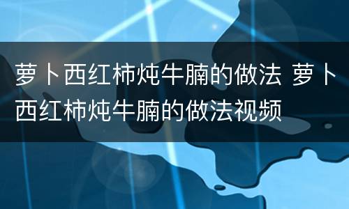 萝卜西红柿炖牛腩的做法 萝卜西红柿炖牛腩的做法视频