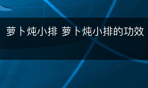 萝卜炖小排 萝卜炖小排的功效