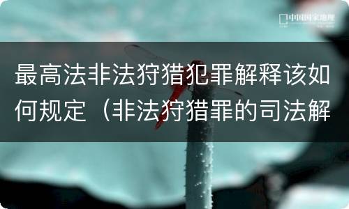 最高法非法狩猎犯罪解释该如何规定（非法狩猎罪的司法解释）