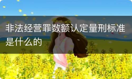 非法经营罪数额认定量刑标准是什么的