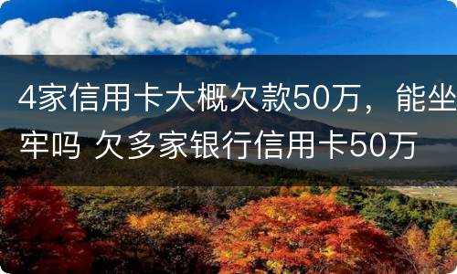 4家信用卡大概欠款50万，能坐牢吗 欠多家银行信用卡50万