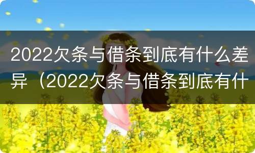 2022欠条与借条到底有什么差异（2022欠条与借条到底有什么差异呢）