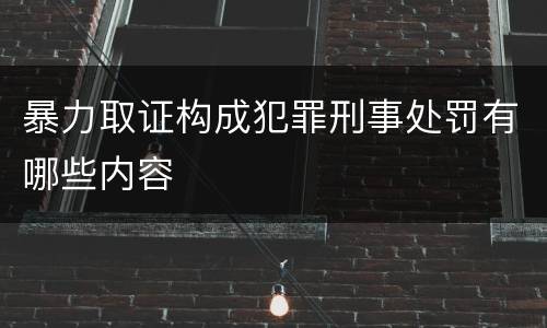 暴力取证构成犯罪刑事处罚有哪些内容