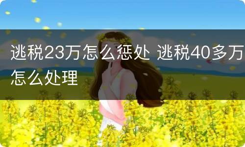 逃税23万怎么惩处 逃税40多万怎么处理