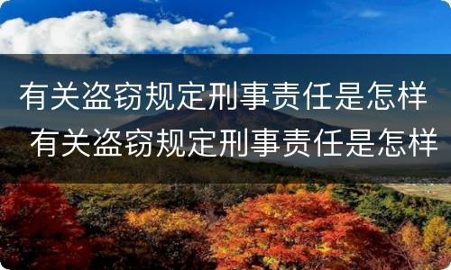 有关盗窃规定刑事责任是怎样 有关盗窃规定刑事责任是怎样定义的