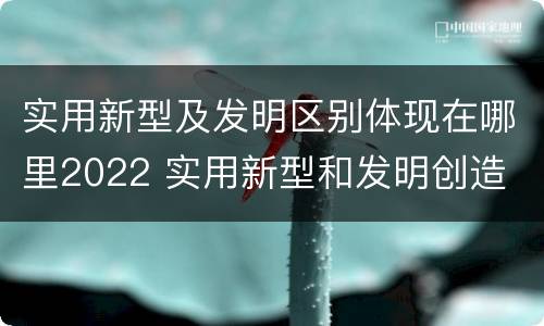 实用新型及发明区别体现在哪里2022 实用新型和发明创造