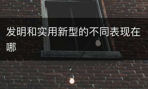 发明和实用新型的不同表现在哪