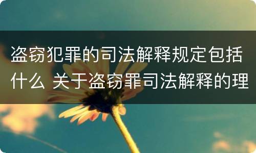 盗窃犯罪的司法解释规定包括什么 关于盗窃罪司法解释的理解与适用