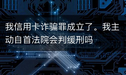 我信用卡诈骗罪成立了。我主动自首法院会判缓刑吗