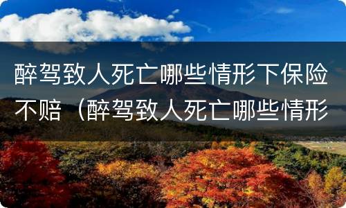 醉驾致人死亡哪些情形下保险不赔（醉驾致人死亡哪些情形下保险不赔钱）