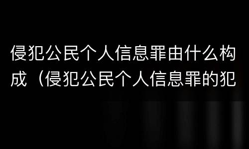 侵犯公民个人信息罪由什么构成（侵犯公民个人信息罪的犯罪构成）