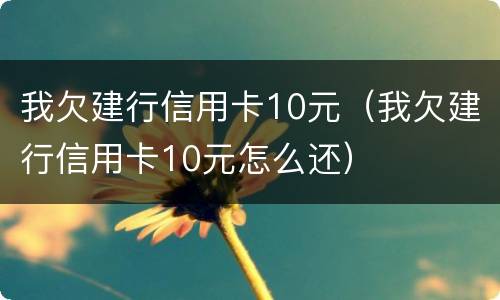 我欠建行信用卡10元（我欠建行信用卡10元怎么还）