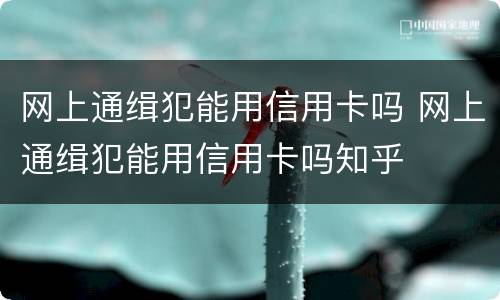 网上通缉犯能用信用卡吗 网上通缉犯能用信用卡吗知乎