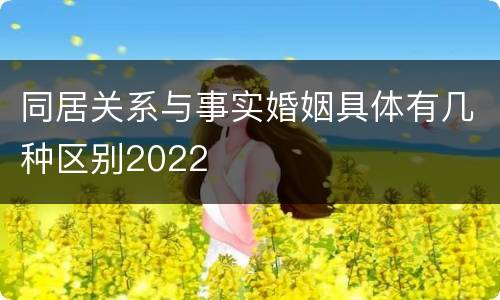 同居关系与事实婚姻具体有几种区别2022