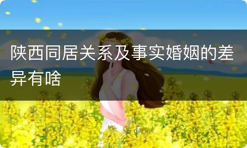 陕西同居关系及事实婚姻的差异有啥