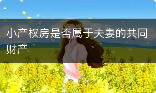 小产权房是否属于夫妻的共同财产