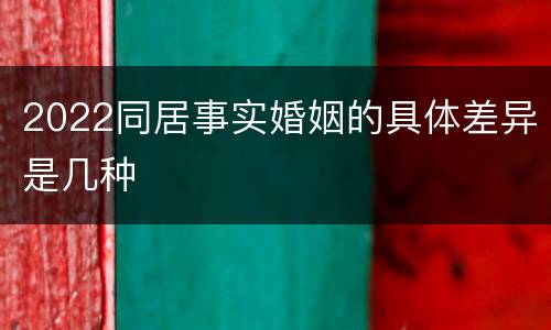 2022同居事实婚姻的具体差异是几种