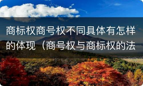 商标权商号权不同具体有怎样的体现（商号权与商标权的法律冲突与解决）