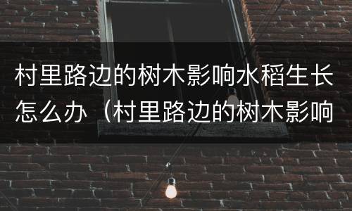 村里路边的树木影响水稻生长怎么办（村里路边的树木影响水稻生长怎么办呢）