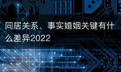 同居关系、事实婚姻关键有什么差异2022