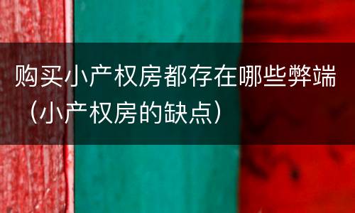 购买小产权房都存在哪些弊端（小产权房的缺点）