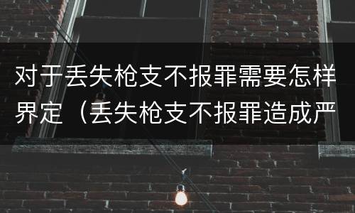 对于丢失枪支不报罪需要怎样界定（丢失枪支不报罪造成严重后果）