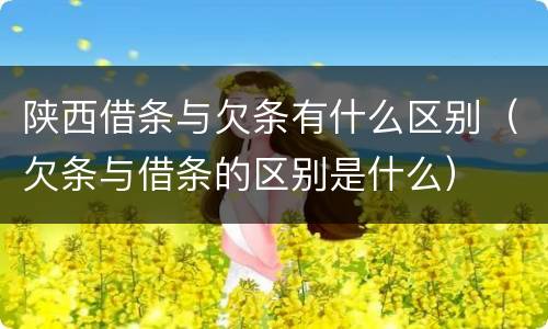 陕西借条与欠条有什么区别（欠条与借条的区别是什么）