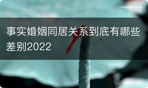 事实婚姻同居关系到底有哪些差别2022