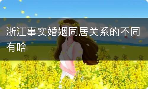 浙江事实婚姻同居关系的不同有啥