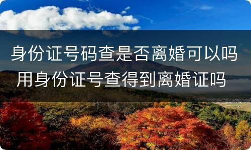 身份证号码查是否离婚可以吗 用身份证号查得到离婚证吗