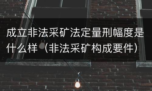 成立非法采矿法定量刑幅度是什么样（非法采矿构成要件）