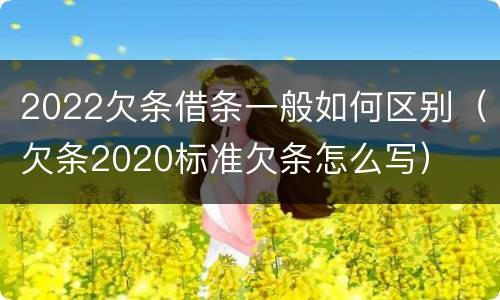 2022欠条借条一般如何区别（欠条2020标准欠条怎么写）